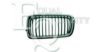 EQUAL QUALITY G0641 Radiator Grille